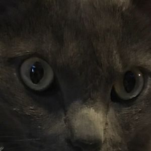 Meet your Posher, Bryan